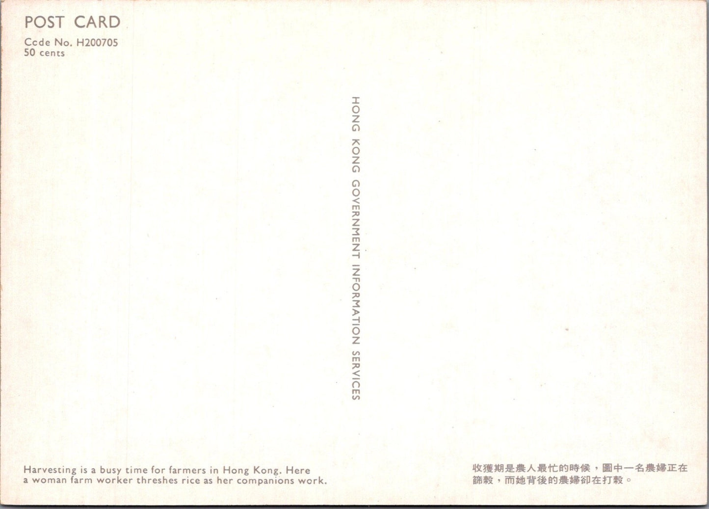 Hong Kong Postcard: Harvesting Rice Threshing Paddy Farm Workers 1970's XT3833