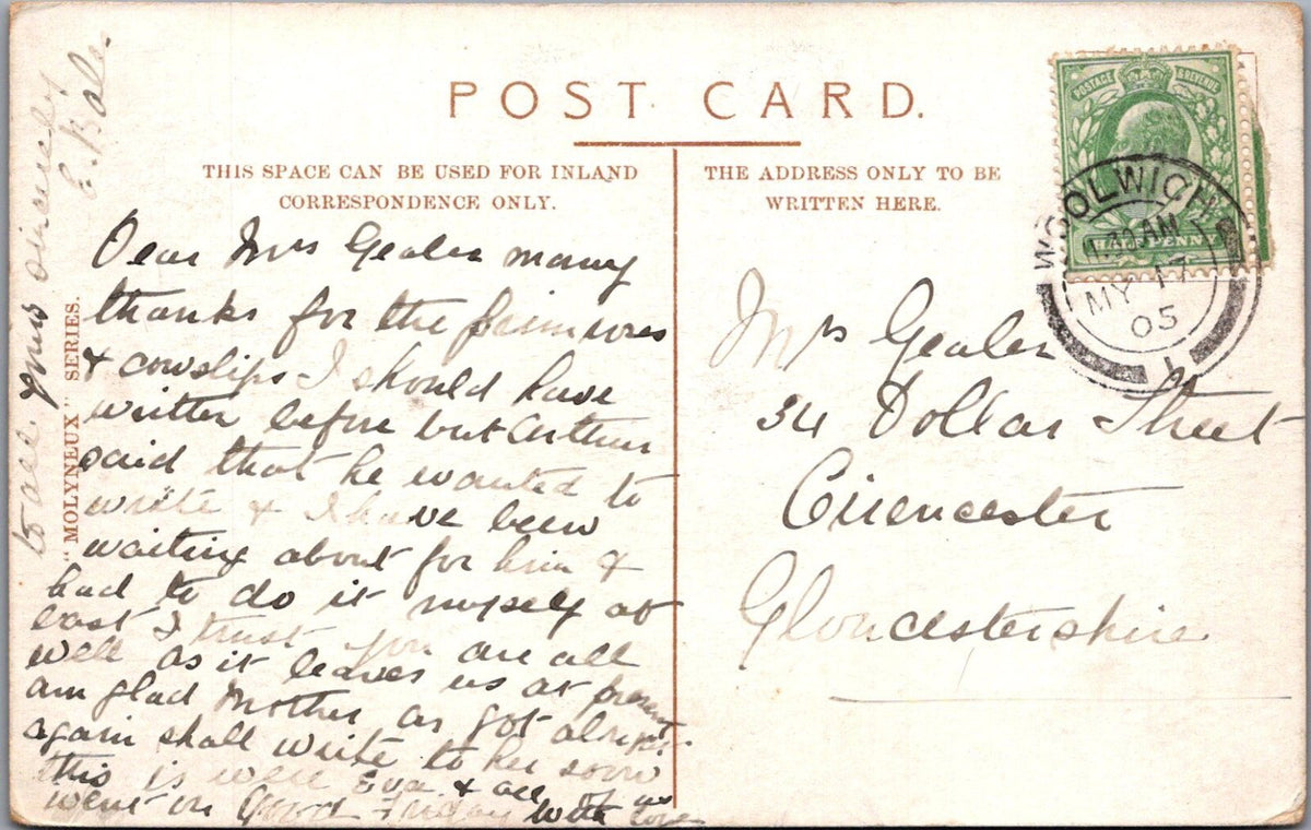 London Postcard: Bostal Heath Blackberrying Children Brambles 1905 XT5056