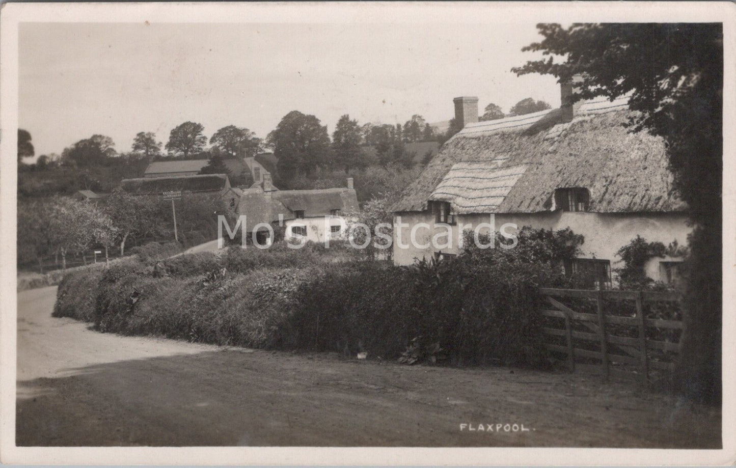 Somerset Postcard: Flaxpool Village Thatched Cottages Street Scene RPPC MB741