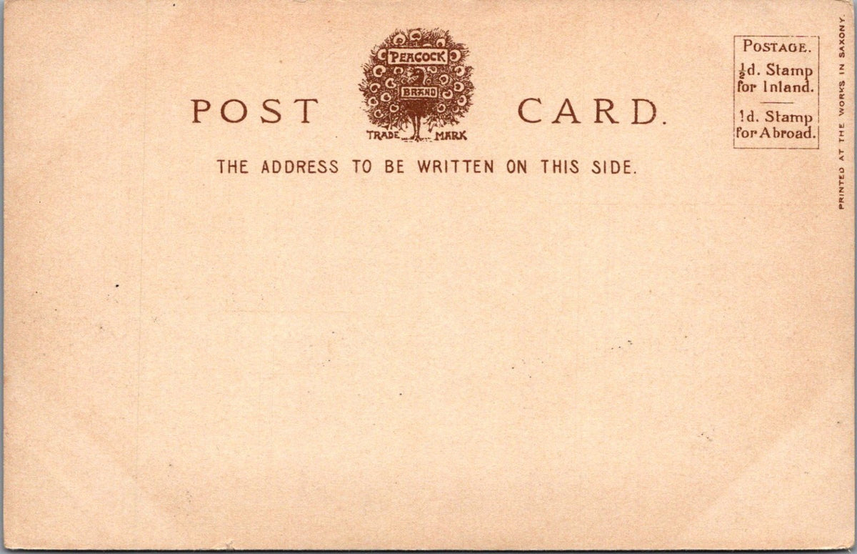 Isle of Wight Postcard: Bonchurch The Pond Street Cottages View 1902 XT5561