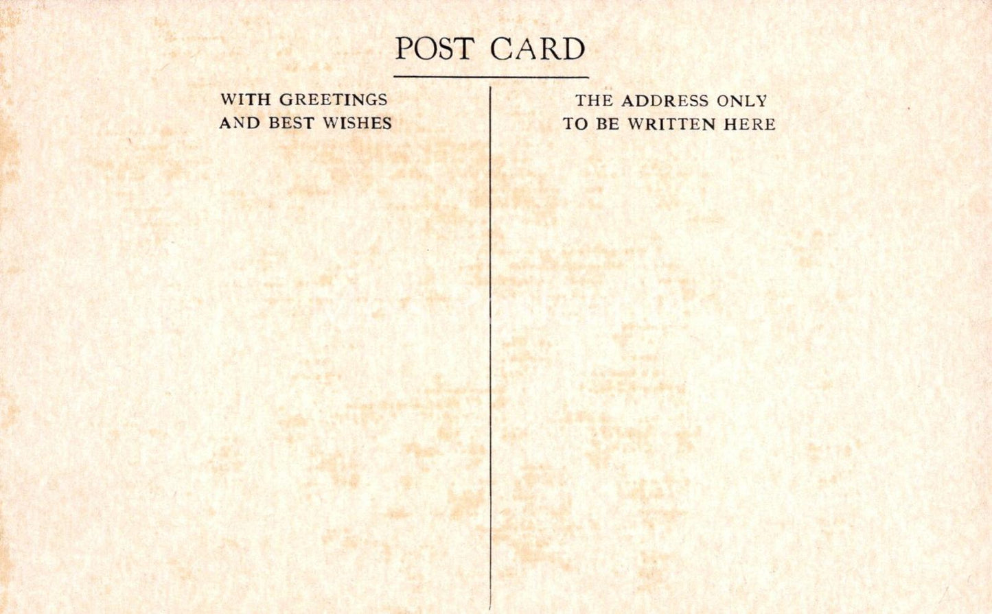 Shipping Postcard - Paddle Steamer Totnes Castle, Passenger Ferry XT86