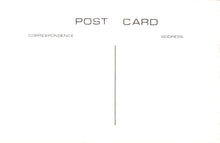 Load image into Gallery viewer, Surrey Postcard - Old Staines High Street c1903 - XT12