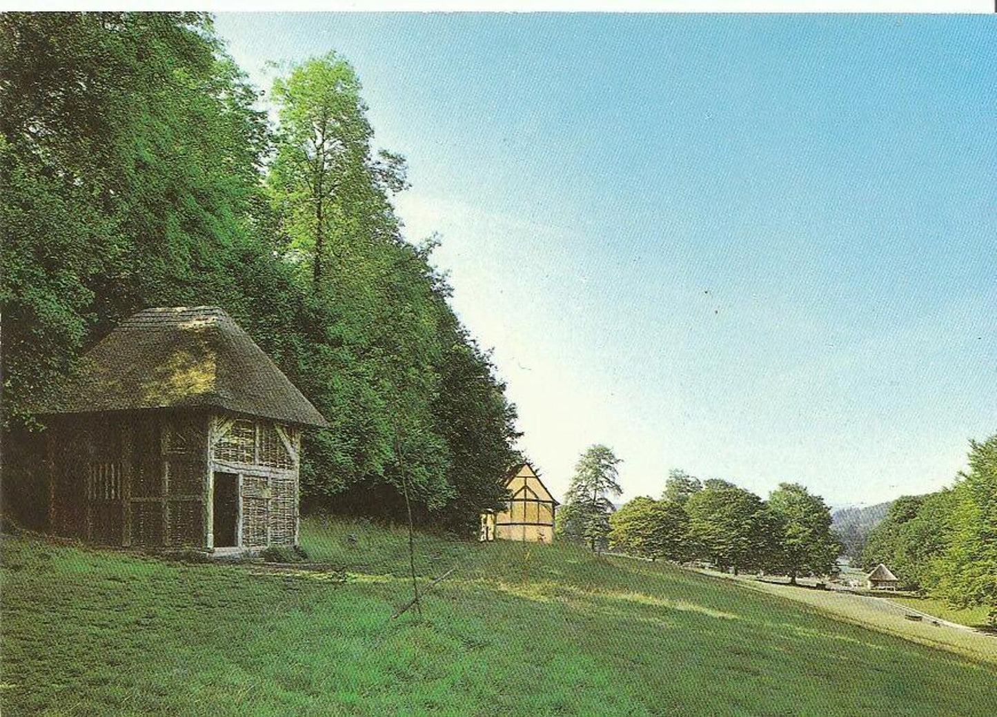 Sussex Postcard - General View of The Museum, The Tread Wheel, Winkhurst AB621