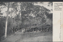 Load image into Gallery viewer, Sierra Leone Postcard - A Rope Bridge In a Woodland Pathway MB1103