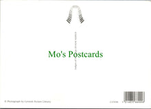 Load image into Gallery viewer, Food & Drink Postcard - Picnic - Scrumpy Cider, Bread, Cheese, Fruit RR13720