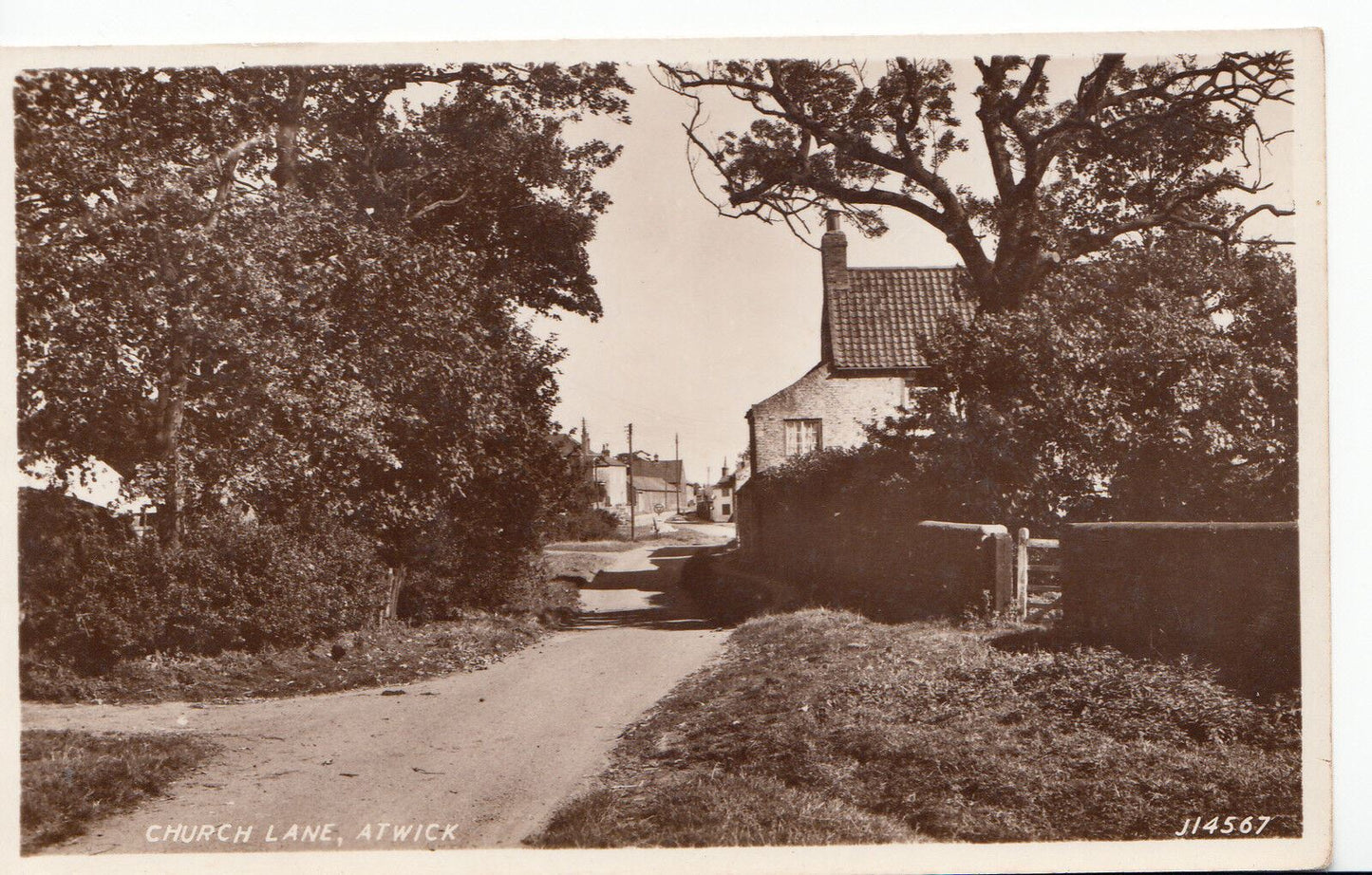 Yorkshire Postcard - Church Lane, Atwick BT436