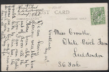 Load image into Gallery viewer, Yorkshire Postcard - The Park, Woodlands B529