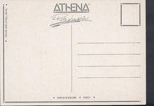 Load image into Gallery viewer, Artist Postcard - The Bay Tree By Gary Waters RR2634