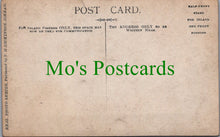 Load image into Gallery viewer, Northumberland Postcard - Parson Primrose, Allendale Pageant Ref.SW9802