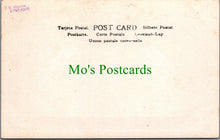 Load image into Gallery viewer, Animals Postcard - Swans, Abbotsbury Swannery, Nesting Time Ref.SW9873