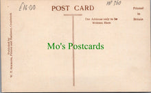 Load image into Gallery viewer, Kent Postcard - St David's Bridge, Cranbrook Ref.HP360