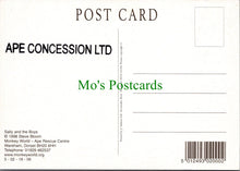 Load image into Gallery viewer, Sally and The Boys, Monkey World Ape Rescue Centre