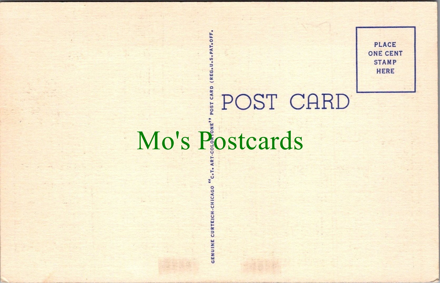 America Postcard - Court of Appeal, Albany, New York State Ref.SW10126