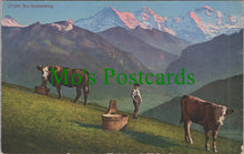 Load image into Gallery viewer, Switzerland Postcard - Bei Beatenberg - Two Cows Ref.SW10179