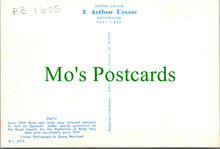 Load image into Gallery viewer, Animals Postcard - Birds - Osprey and Nest Ref.SW10226