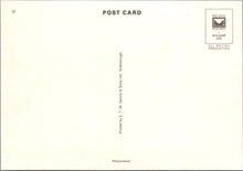 Load image into Gallery viewer, Devon Postcard - Fore Street, Beer Ref.SW9954