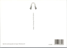 Load image into Gallery viewer, Animals Postcard - Birds - A Red Kite Ref.SW9956