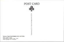 Load image into Gallery viewer, Animals Postcard - Common Toad at Bramble Wildlife Park Ref.SW10003