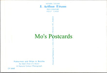 Load image into Gallery viewer, Hobbies Postcard - Fisherman and Ships in Bottles SW9153