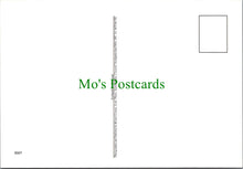 Load image into Gallery viewer, Holy Island, Northumberland