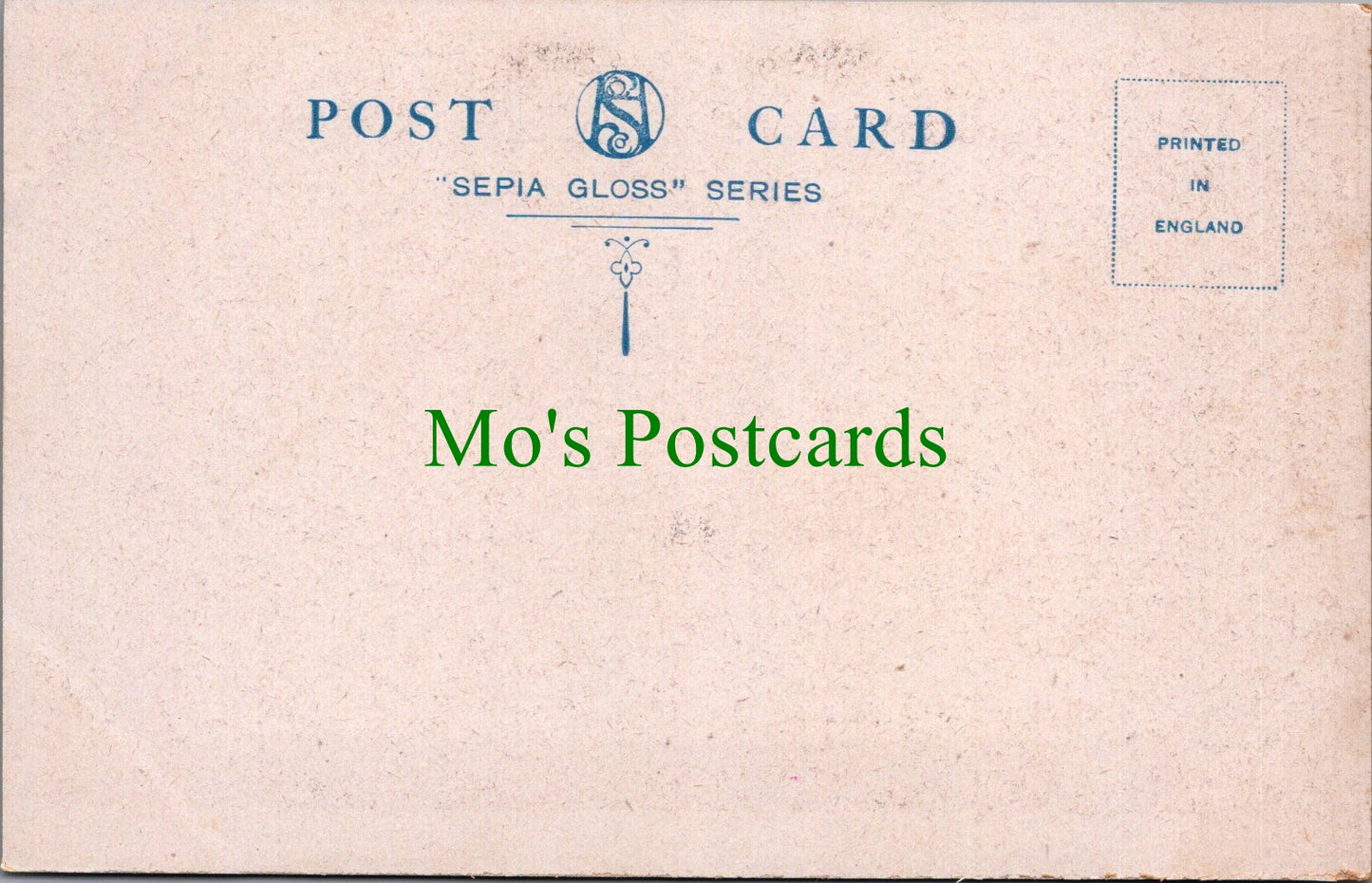 Sussex Postcard - Hastings, Lover's Seat SW10482
