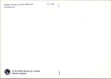 Load image into Gallery viewer, Animal Art Postcard - Gerbil Eating a Judas Tree Pod, Kenneth Lilly SW10307