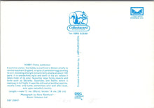 Load image into Gallery viewer, Animals Postcard - Birds - The Hobby Falcon SW10348