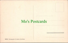 Load image into Gallery viewer, Switzerland Postcard - Griessbach am Brienzersee SW10884