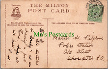 Load image into Gallery viewer, Surrey Postcard - Norbury Topse, The Rustic Bridge SW10934