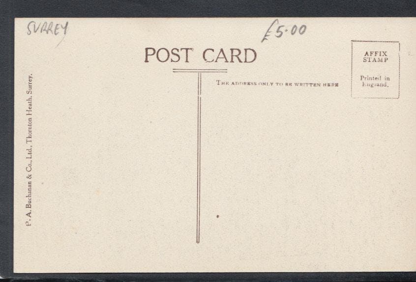 Surrey Postcard - Elleray School For Girls - Mo’s Postcards