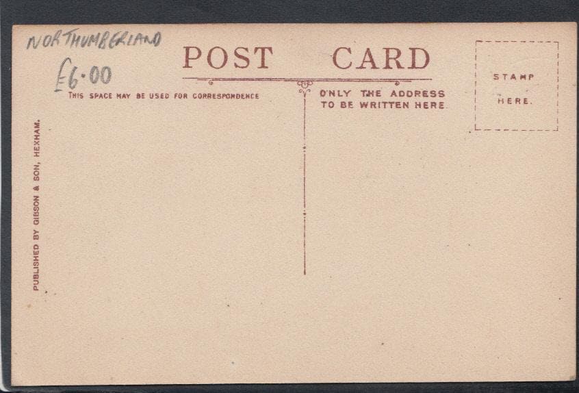 Northumberland Postcard - Newton Village - Mo’s Postcards