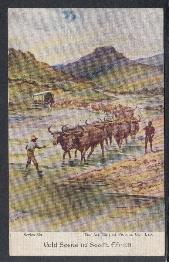 South Africa Postcard - Veld Scene in South Africa, 1936 - Mo’s Postcards