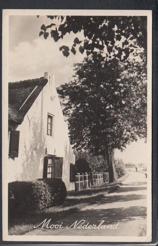Netherlands Postcard - Mooi Nederland, 1950 - Mo’s Postcards