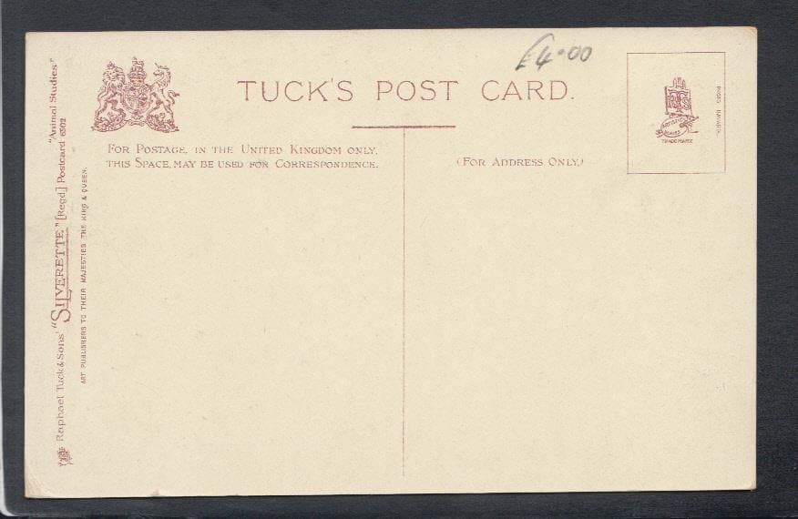 Animals Postcard - Two Birds - Politics - Gambier - Mo’s Postcards