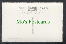 Load image into Gallery viewer, Peacock, London Zoo