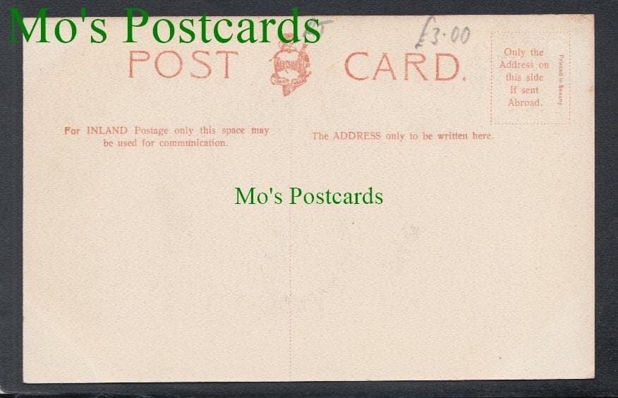 Dogs Postcard - Two is Company Three is None