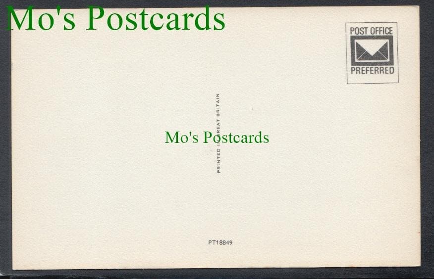 Animals Postcard - Donkey Rides