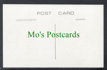 Load image into Gallery viewer, Trains - On The Vale of Rheidol Railway