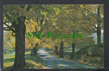 Load image into Gallery viewer, Vermont Country Road in Fall Colors
