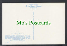 Load image into Gallery viewer, Nature Postcard - Flowers - Rose 'Michele Meilland'