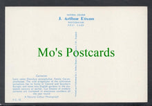 Load image into Gallery viewer, Nature Postcard - Flowers - Carnation