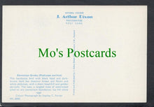 Load image into Gallery viewer, Birds Postcard - Slavonian Grebe