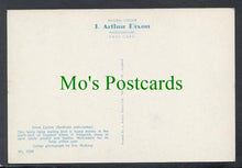 Load image into Gallery viewer, Birds Postcard - Stone Curlew