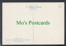 Load image into Gallery viewer, Birds Postcard - Ringed Teal From South America