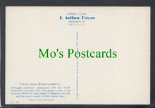 Load image into Gallery viewer, Birds Postcard - Canada Goose