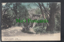 Load image into Gallery viewer, Parque Cousino, Lota, Chile