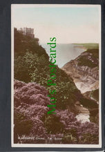 Load image into Gallery viewer, Blackgang Chine, The Isle of Wight