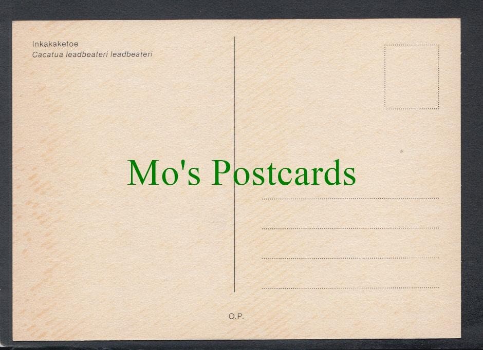 Birds Postcard - Major Mitchell's Cockatoo