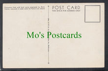 Load image into Gallery viewer, Birds Postcard - Rose Breasted Grosbeak