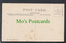 Load image into Gallery viewer, Birds Postcard - Lyre Birds